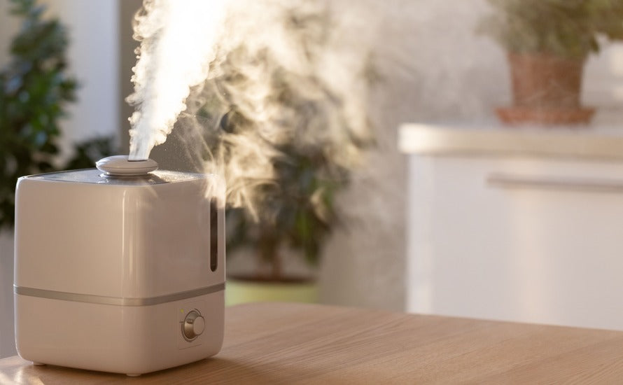 Best Air Purifiers for Seniors