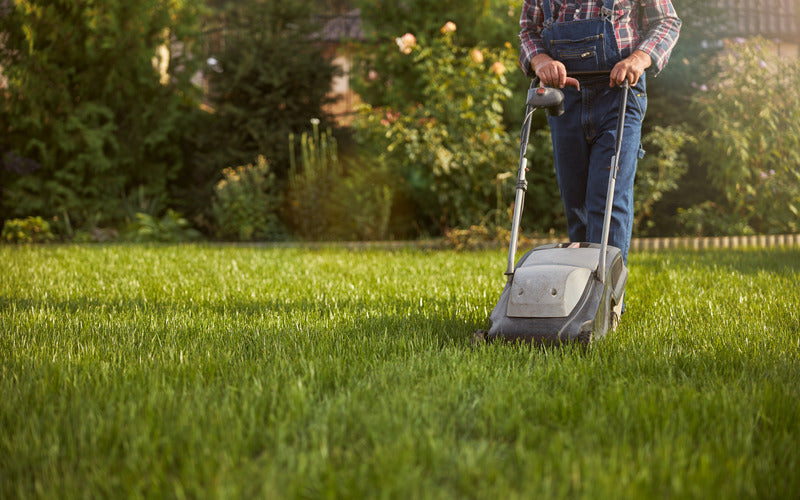 A Professional Lawn Care Service for Seniors 